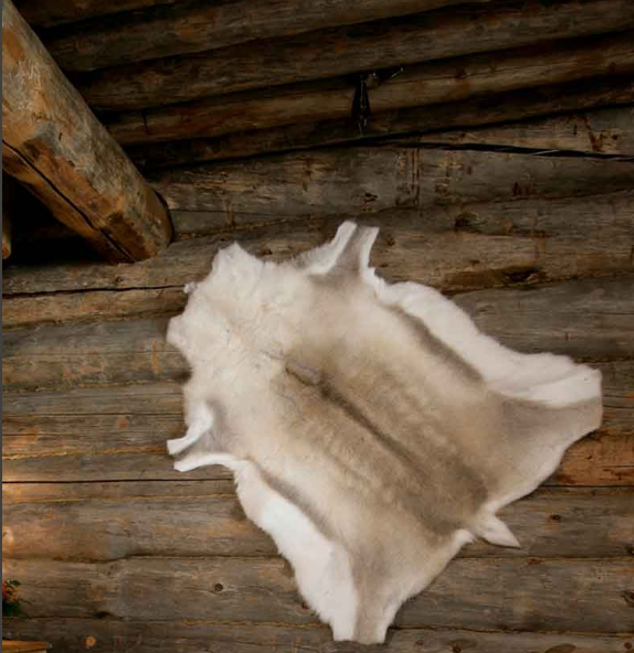 Reindeer Hide - Medium Size