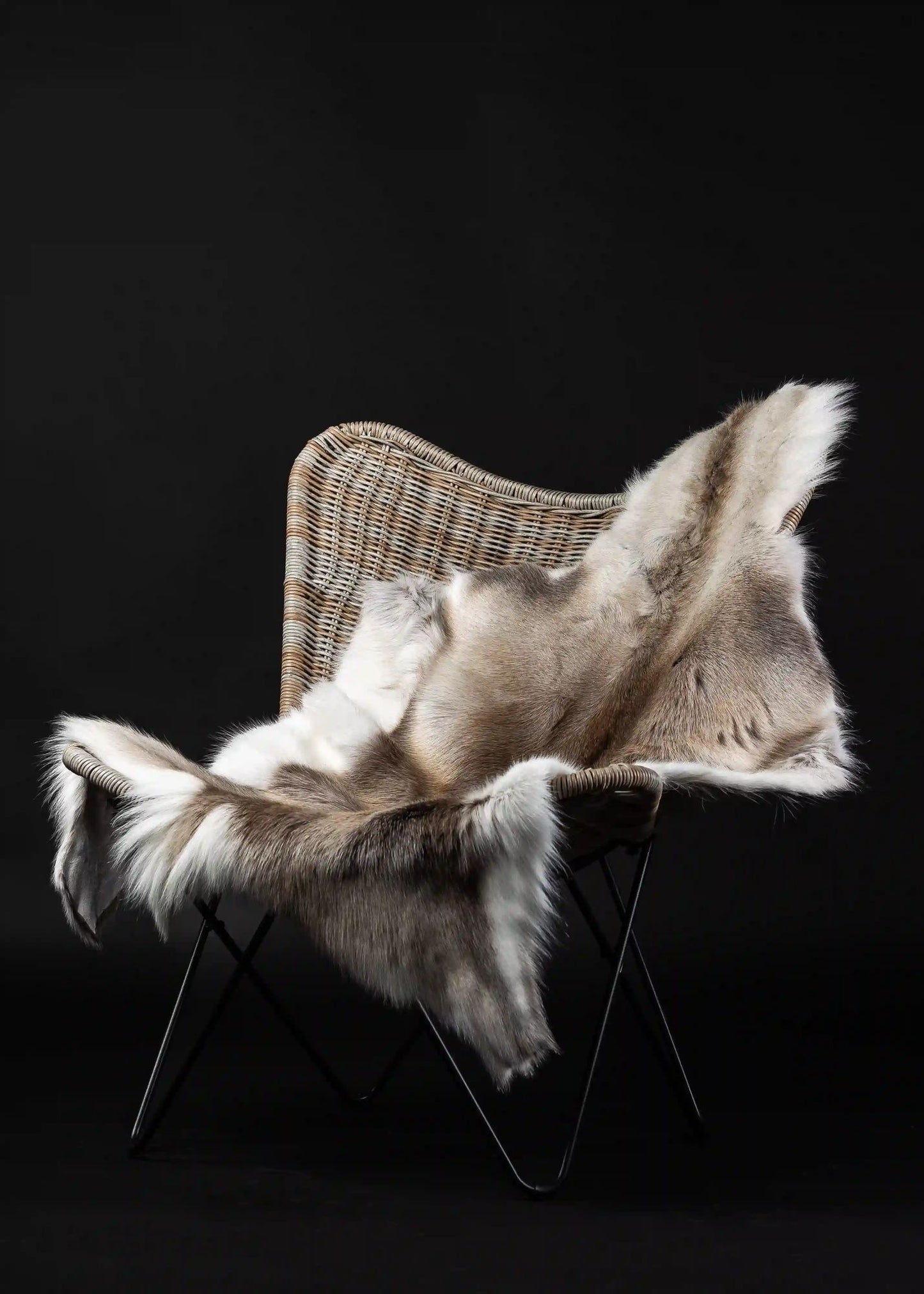 Reindeer Hide - Medium Size