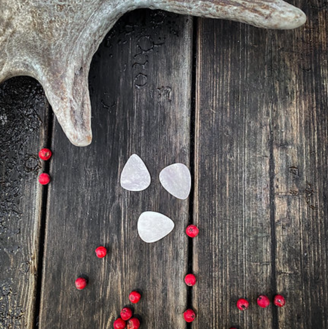 Plectrum
