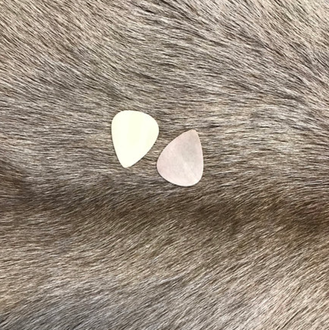 Plectrum