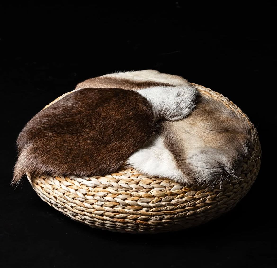 Reindeer Hide Seating Pad - Neat Circular